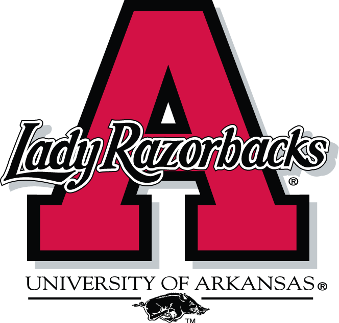 Arkansas Razorbacks 1998-2000 Alternate Logo DIY iron on transfer (heat transfer)